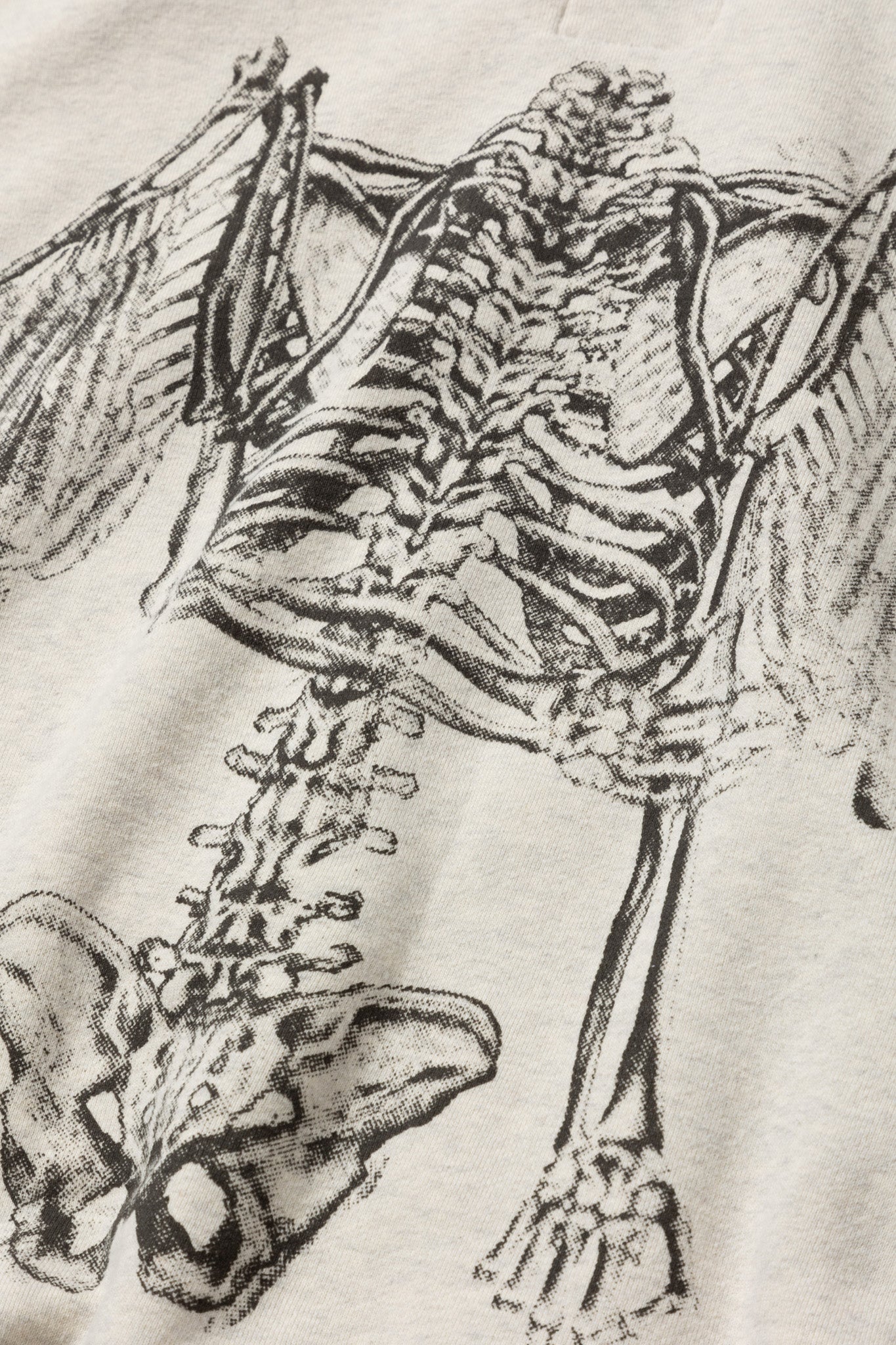 T24WCEM06/HOODIE SWEAT-ANGEL WING