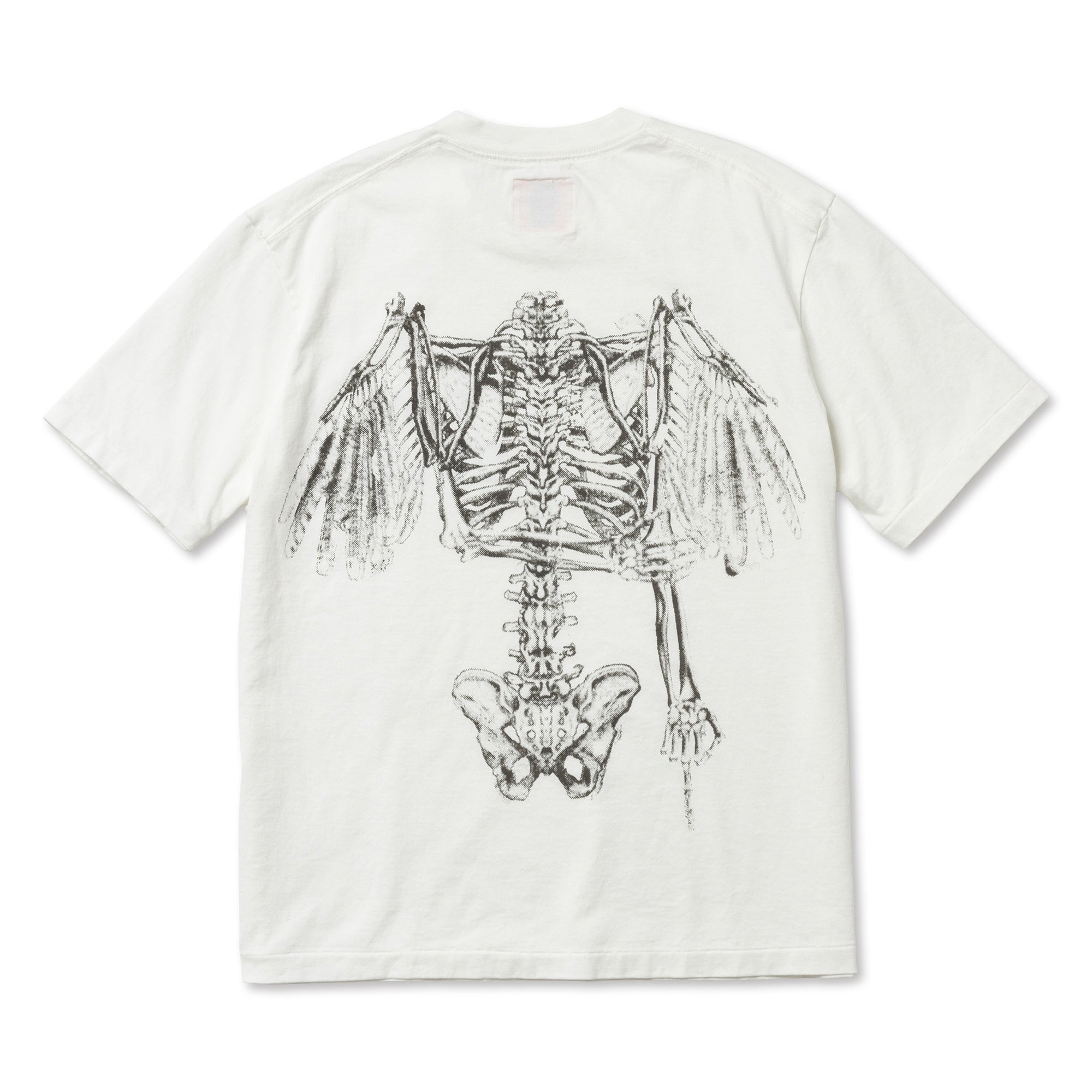 T24WCEM14/TEE-ANGEL WING