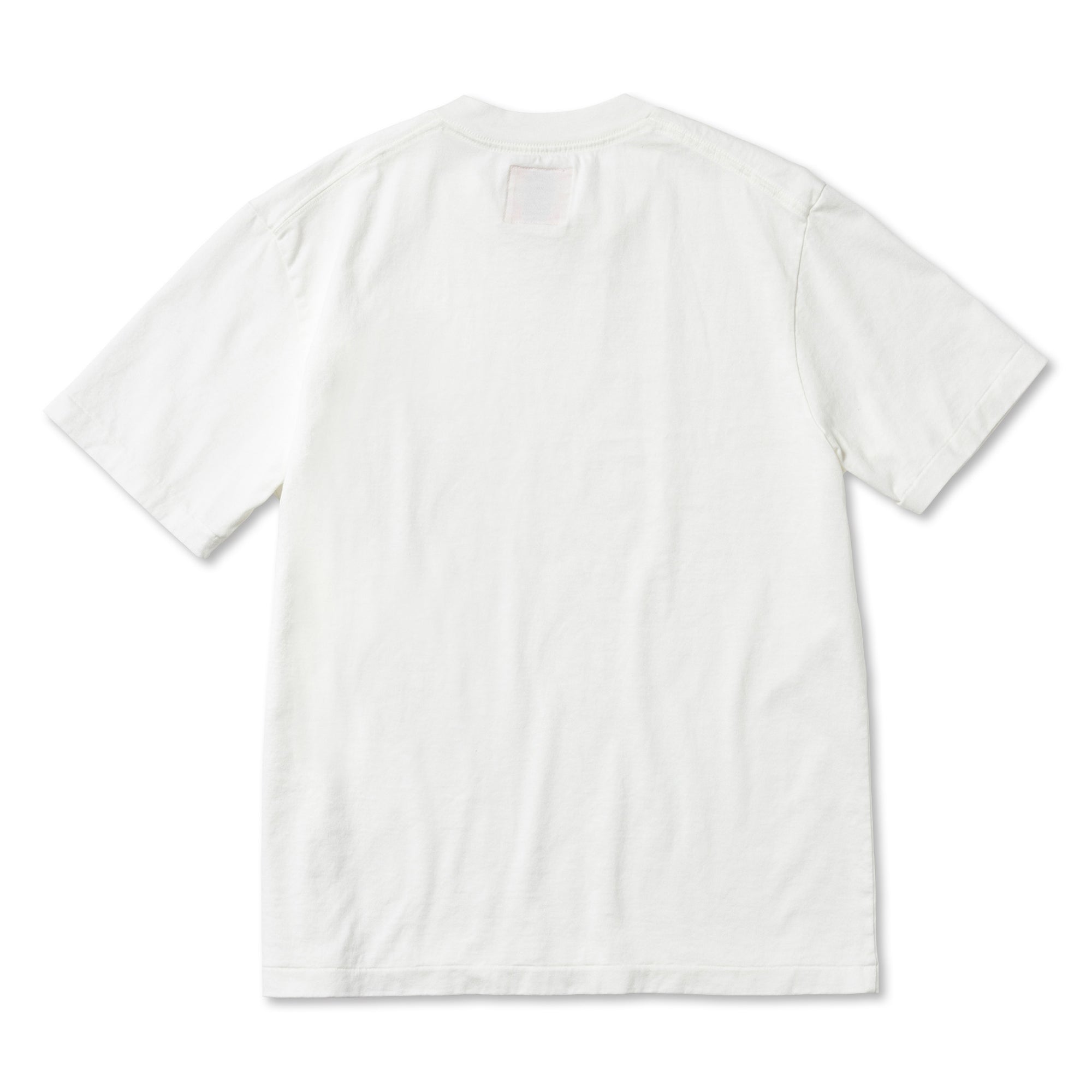 T24WCEM16/TEE-BROKEN BEAR