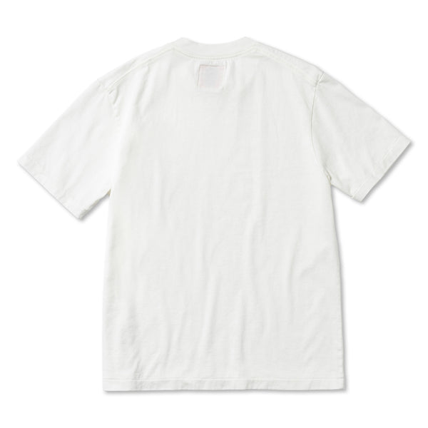 T24WCEM16/TEE-BROKEN BEAR
