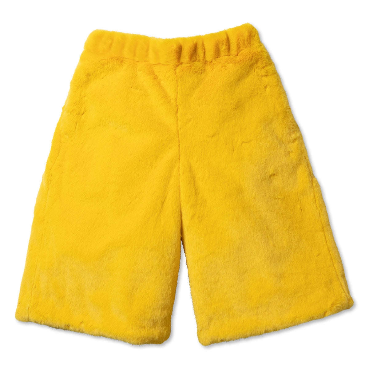 TD25AWOYC02/MASCOT COSTUME SHORTS