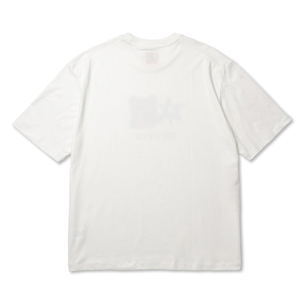 TD26SCHD04/Tee-Boxing Bear